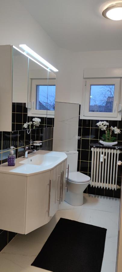 Schoene Und Optimal Gelegene Wohnung Og Weisskirchen Экстерьер фото